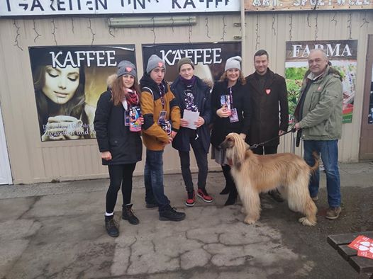 Gra orkiestra WOŚP – 12.01.2020
