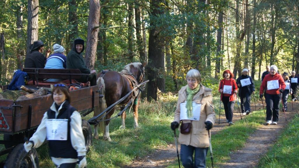 I Bieg "Szlakiem Jarzębiny"_30