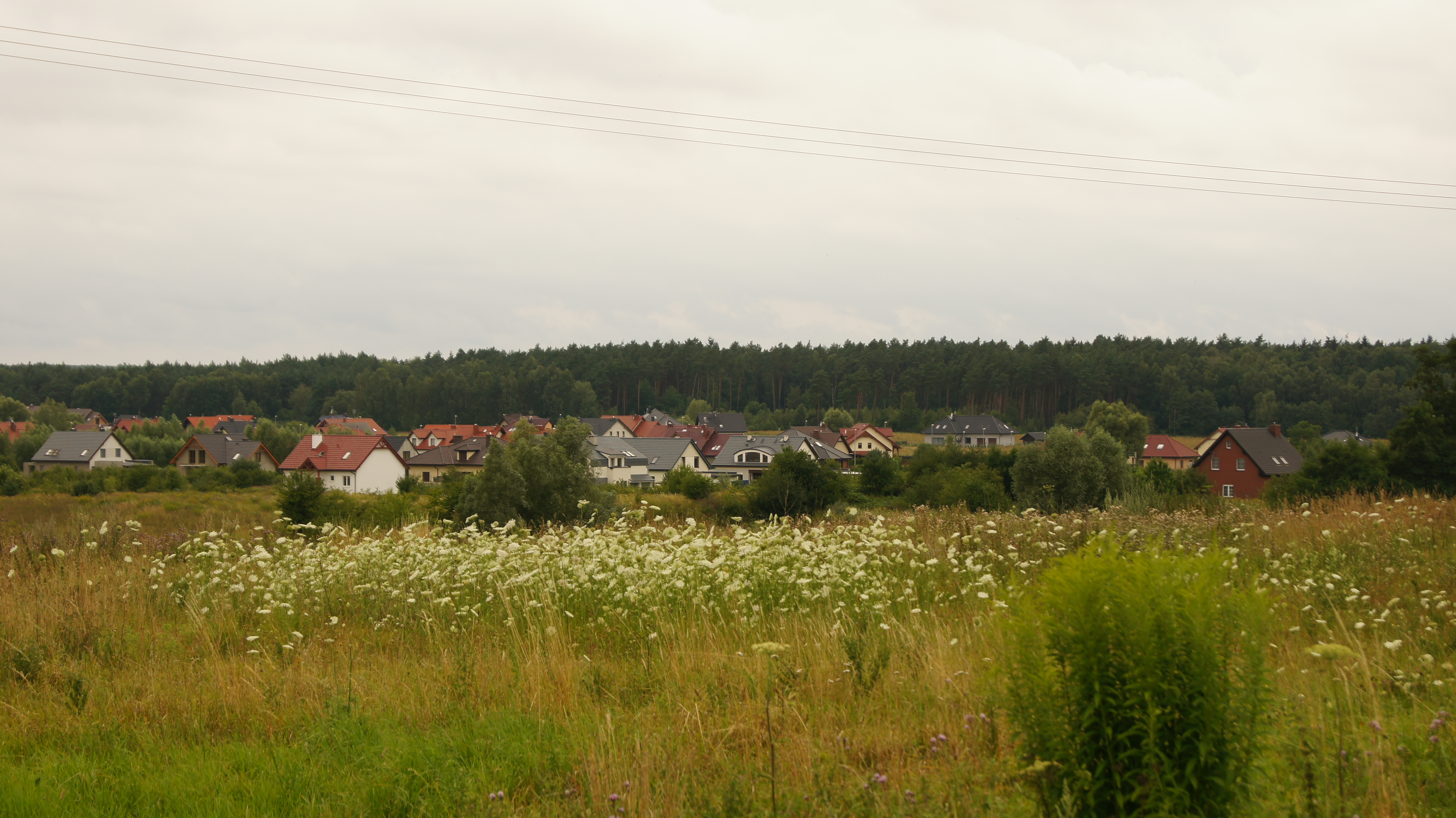 Dołuje