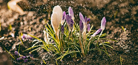 Materiał ilustracyjny: Nagroda dla Wojtka Hnata – 11.04.2016