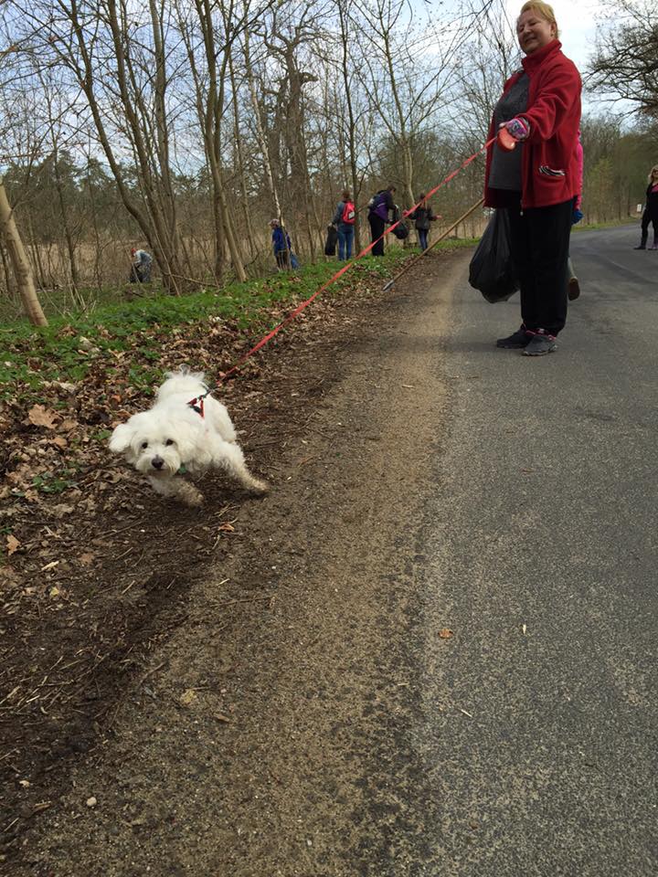 Wiosenne Sprzątanie Sołectwa 16.04.2016_88